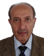 عضو المجلس عضو المجلس